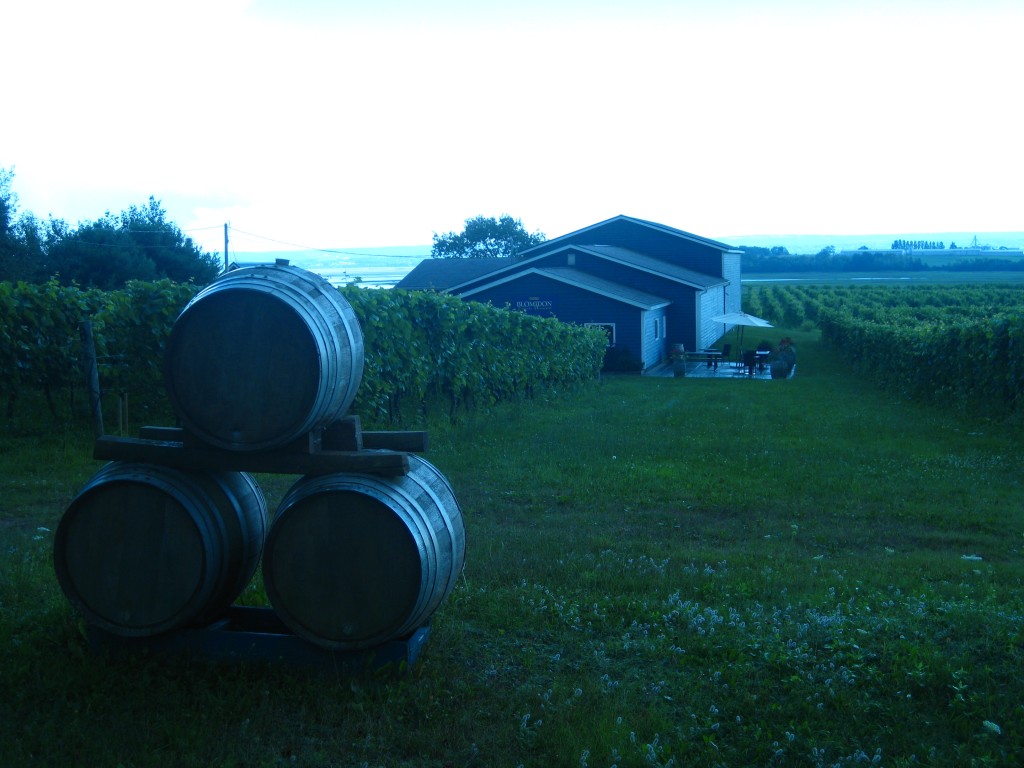 Nova Scotia Wine Tour 2013
