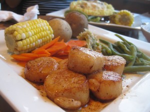 Digby Scallop Quest